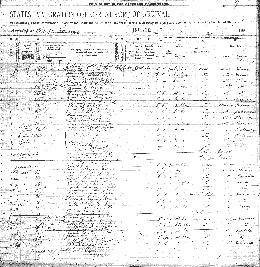 Page 2 of the ship manifest.