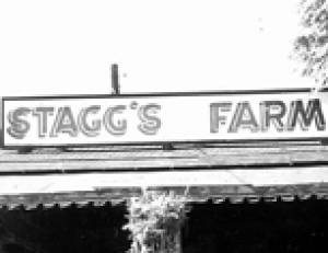 Edson Stagg operated this produce and flower farm in Hasbrouck Heights for more than 25 years on land his father acquired in 1919. He sold the property in 1972 and moved to Hunterdon County, where he opened another farm.